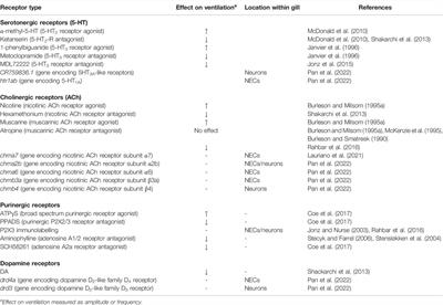 Neurochemical Signalling Associated With Gill Oxygen Sensing and Ventilation: A Receptor Focused Mini-Review